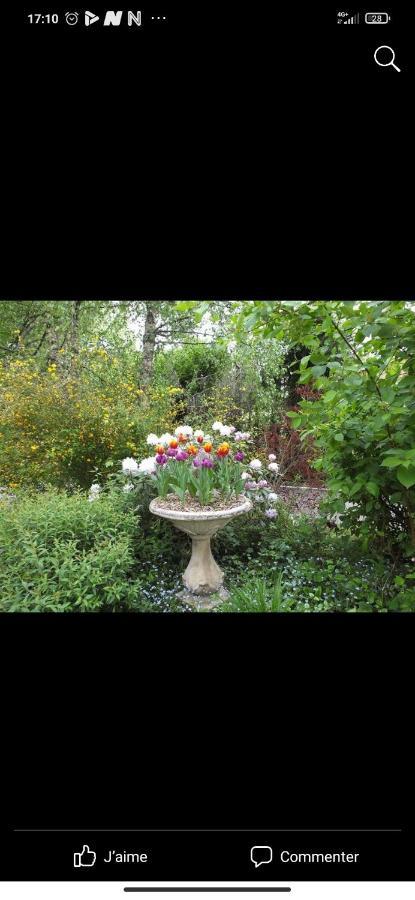 Petit Coin De Paradis Fontaine-les-Luxeuil 외부 사진